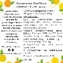 Clémentine (dos).webp