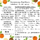 Courge Badiane (dos).webp