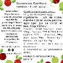 Fraise Menthe (dos).webp