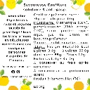 3 Agrumes (dos).webp