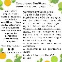 Mangue Citron (dos).webp