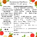 Patate Douce Vanille (dos).webp