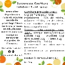 Pêche Amande (dos).webp