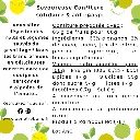 Ananas Coco (dos).webp