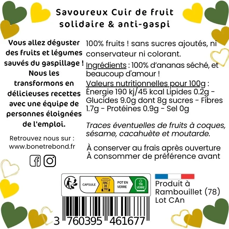 Cuir d'ananas V.webp