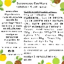 Banane Rhum Raisin (dos).webp